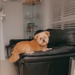 Meet your Posher, Nikolina